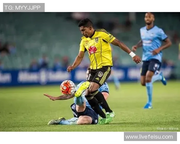 中部海岸海员与惠灵顿凤凰的激烈对决展现足球魅力与团队精神