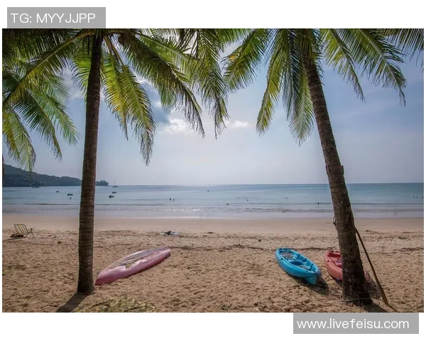 坎昆与西玛的魅力对比探寻热带海滩与古老文明的完美结合