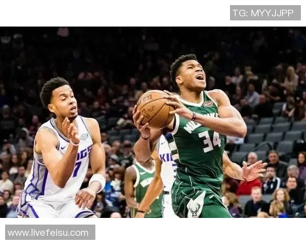 多伦多与休斯顿城市发展对比分析及未来展望探讨