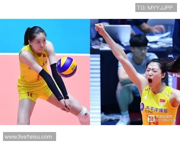 对话杨敏：回顾辉煌排球生涯与未来展望的深度交流